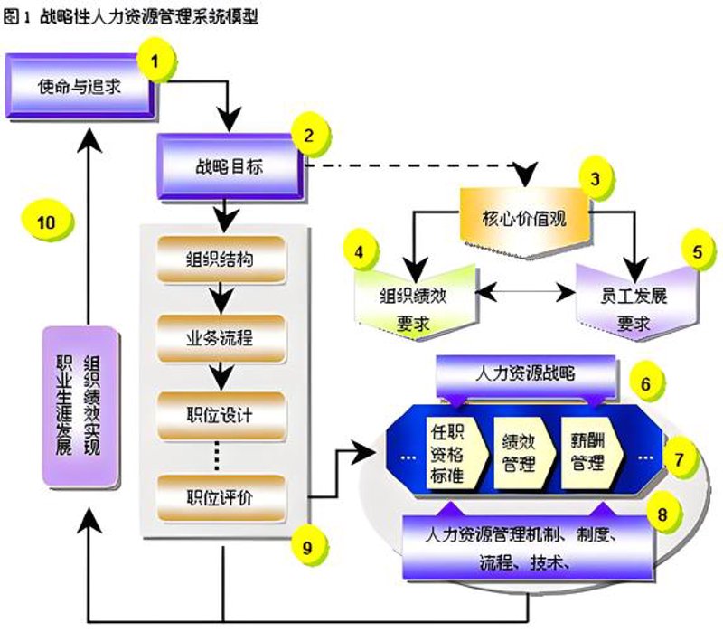 市场调研：掌握行业脉搏的艺术